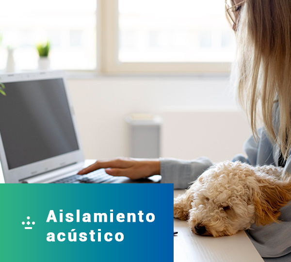 Descripción de la imagen